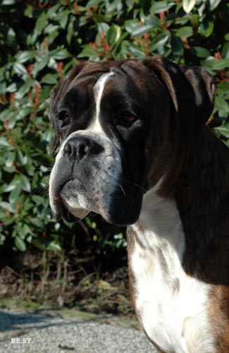 ArantxaTesta2Web.jpg ArantxaTesta2Web.jpg